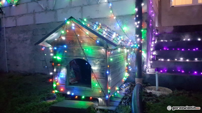 20/22 Świecące tysiącami światełek Popowo