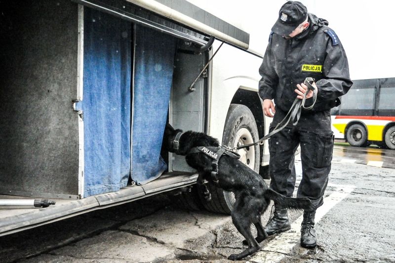 2/7 Szkolenie policyjnych psów