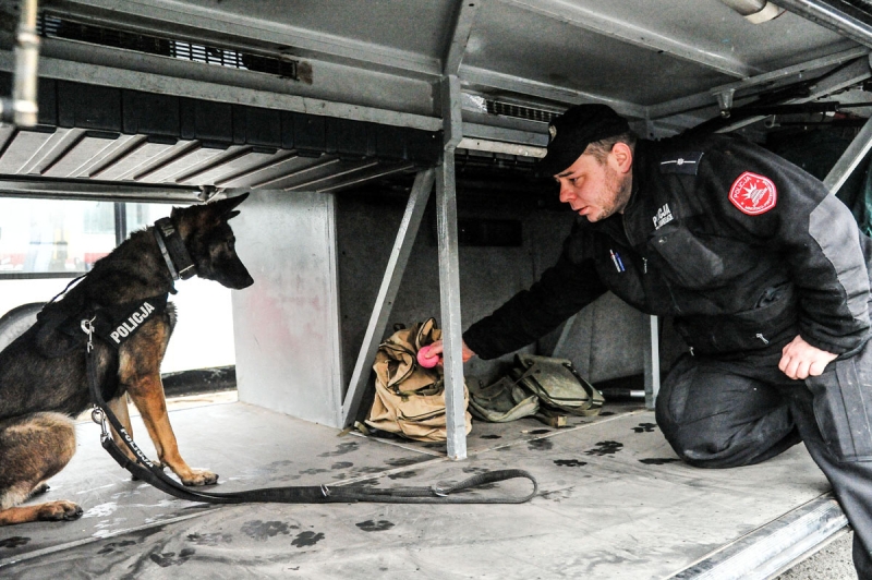 6/7 Szkolenie policyjnych psów
