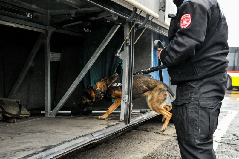 7/7 Szkolenie policyjnych psów