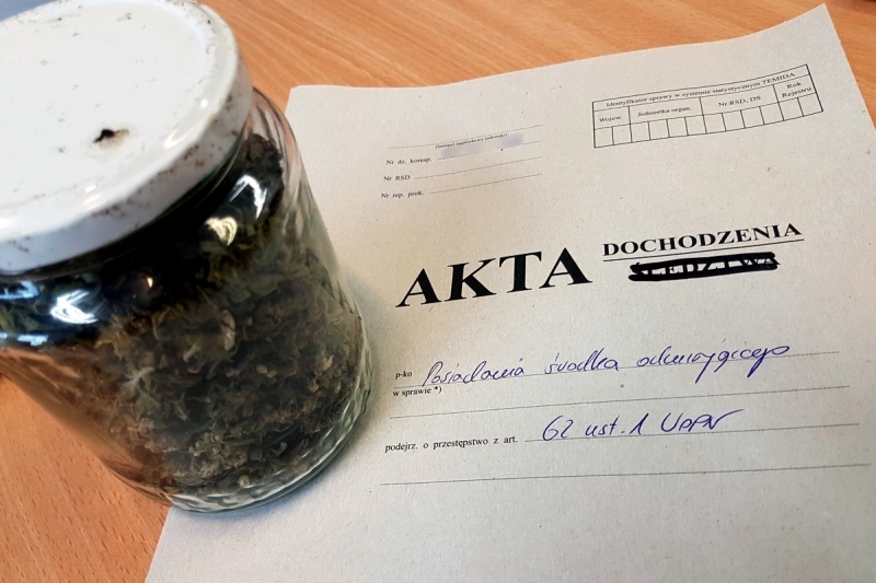 3/5 Gorzowscy policjanci zlikwidowali dwie plantacje marihuany