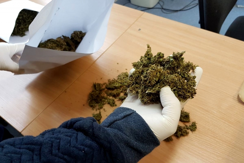 5/5 Gorzowscy policjanci zlikwidowali dwie plantacje marihuany