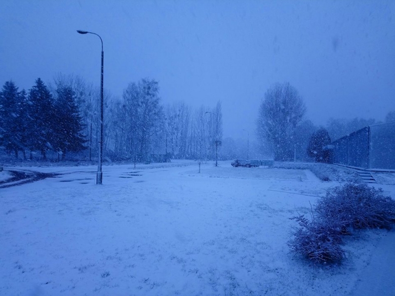 3/5 Trudne sytuacje na drogach