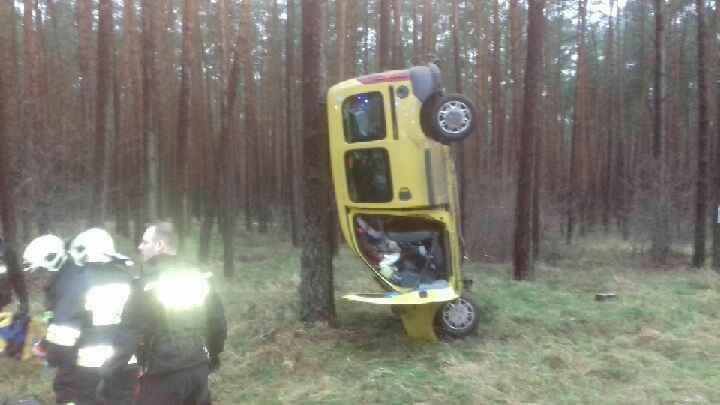 1/3 Renault uderzył w drzewo