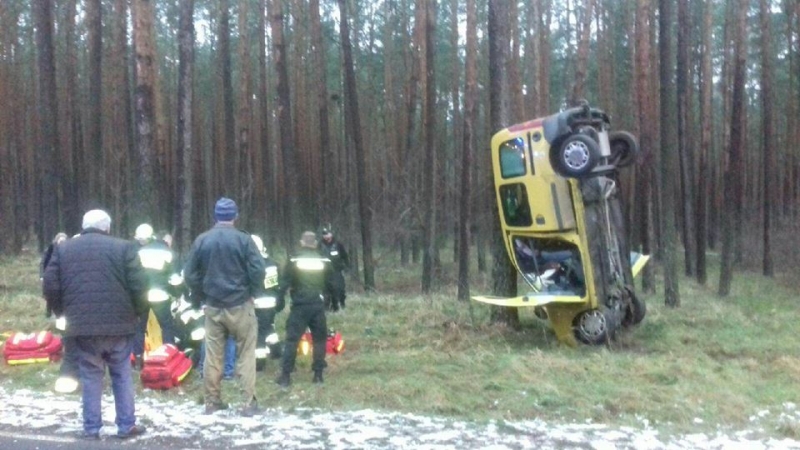 3/3 Renault uderzył w drzewo
