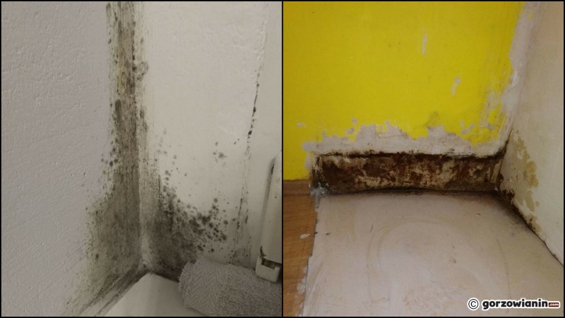 7/7 Zniszczona kamienica przy Łokietka