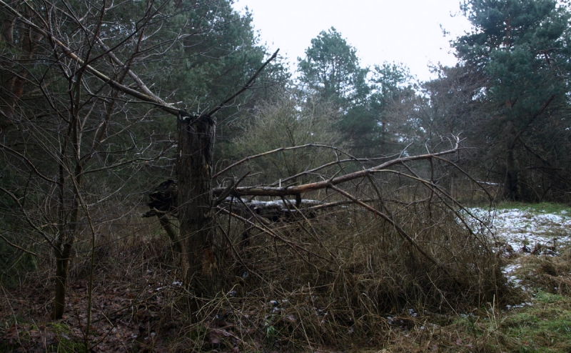 3/19 Przyszła strefa przemysłowa w obiektywie