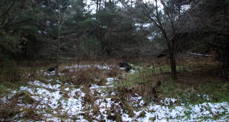 4/19 Przyszła strefa przemysłowa w obiektywie