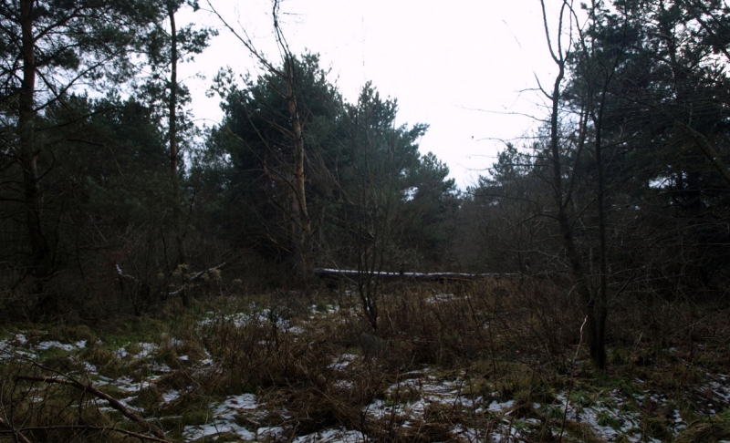 5/19 Przyszła strefa przemysłowa w obiektywie