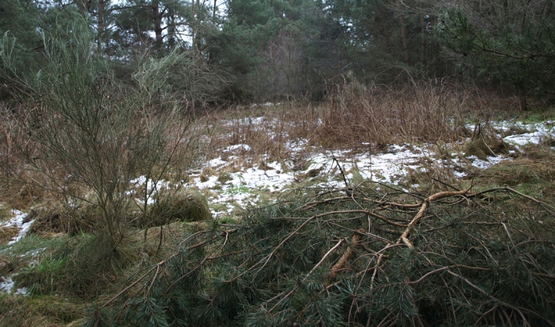 7/19 Przyszła strefa przemysłowa w obiektywie