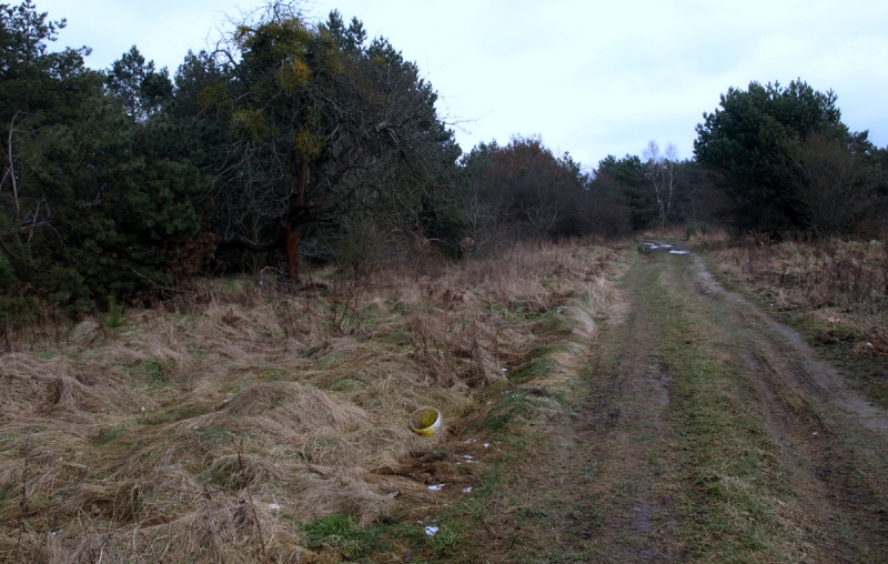 9/19 Przyszła strefa przemysłowa w obiektywie