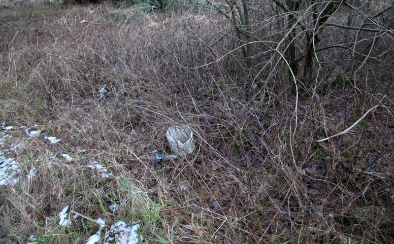 10/19 Przyszła strefa przemysłowa w obiektywie