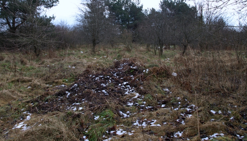 12/19 Przyszła strefa przemysłowa w obiektywie