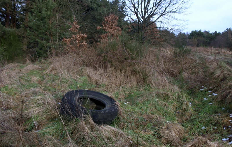13/19 Przyszła strefa przemysłowa w obiektywie
