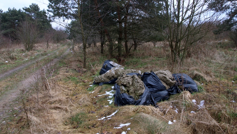15/19 Przyszła strefa przemysłowa w obiektywie