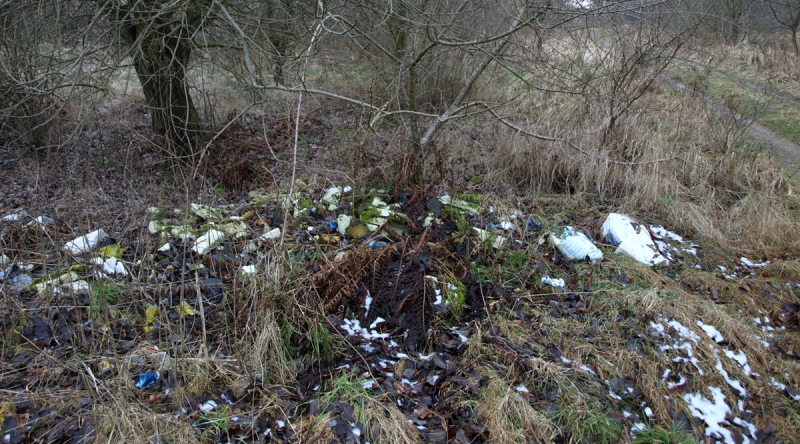 16/19 Przyszła strefa przemysłowa w obiektywie