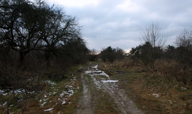 17/19 Przyszła strefa przemysłowa w obiektywie