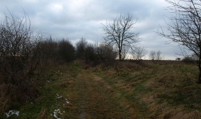 19/19 Przyszła strefa przemysłowa w obiektywie