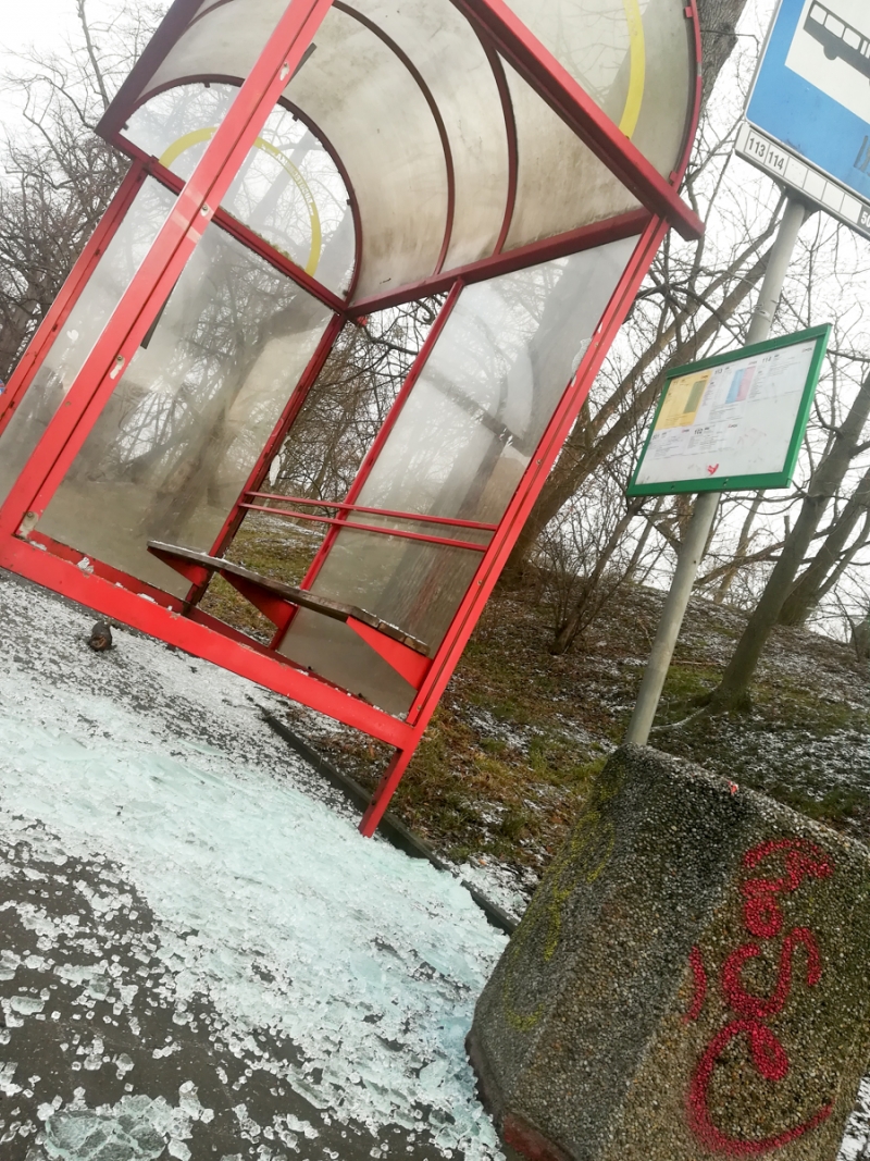 4/4 Chuligani zatrzymani za zniszczone przystanki