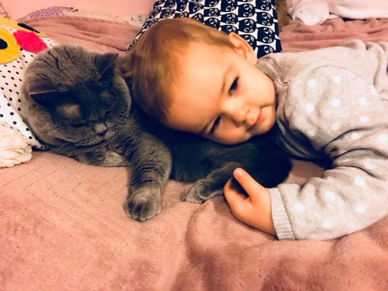 39/103 Dzień Kota - zdjęcia czytelników