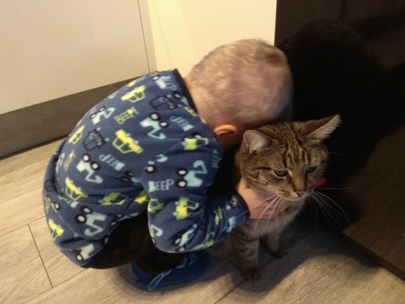 68/103 Dzień Kota - zdjęcia czytelników