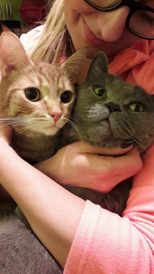 94/103 Dzień Kota - zdjęcia czytelników