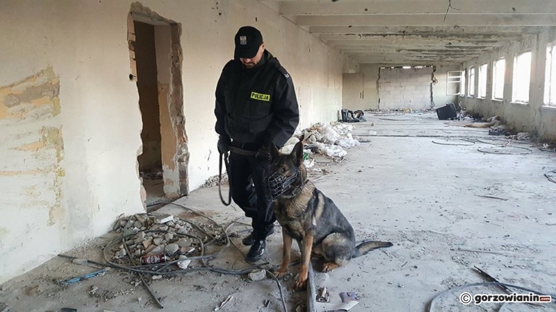 4/4 Służby szukały bezdomnych