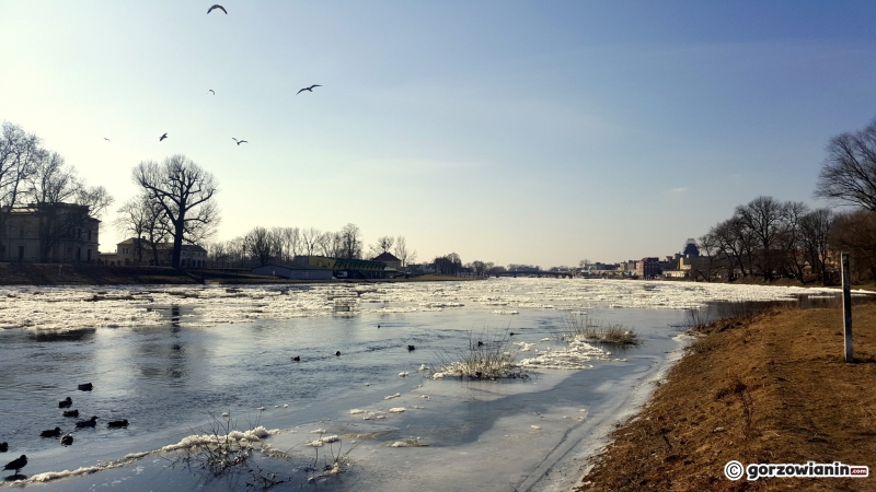 4/6 Śryż na Warcie w Gorzowie