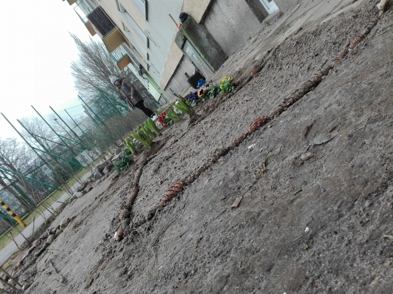 7/7 Dzieci posprzątały teren przed blokiem