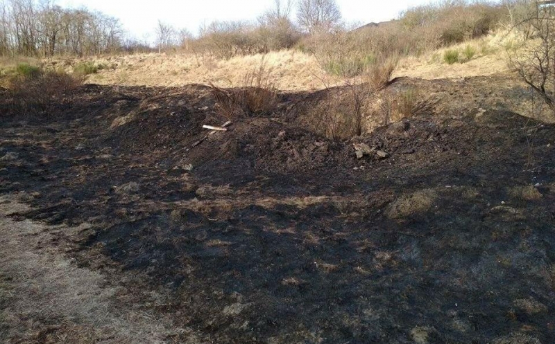 3/6 Wypalanie traw na gorzowskich murawach