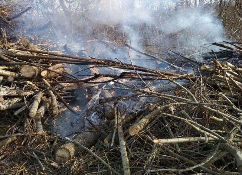 4/6 Wypalanie traw na gorzowskich murawach