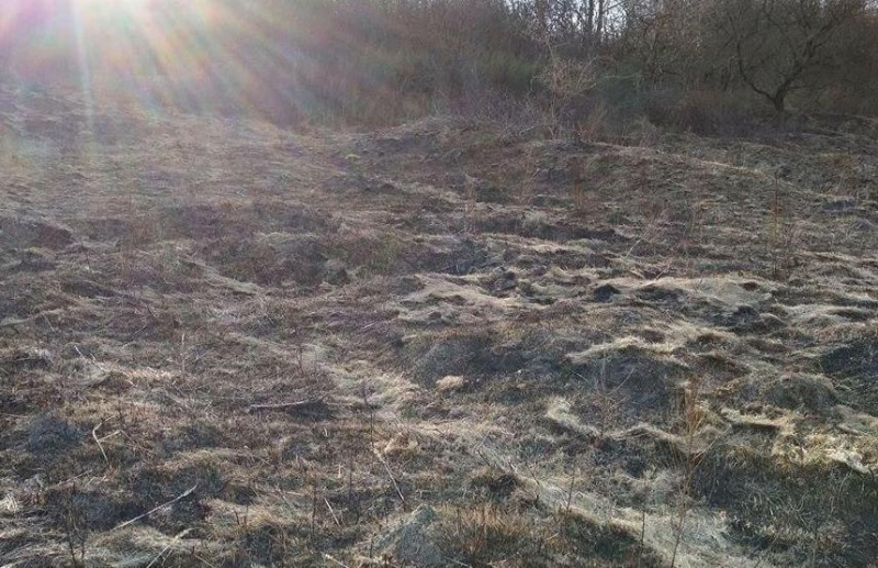 6/6 Wypalanie traw na gorzowskich murawach