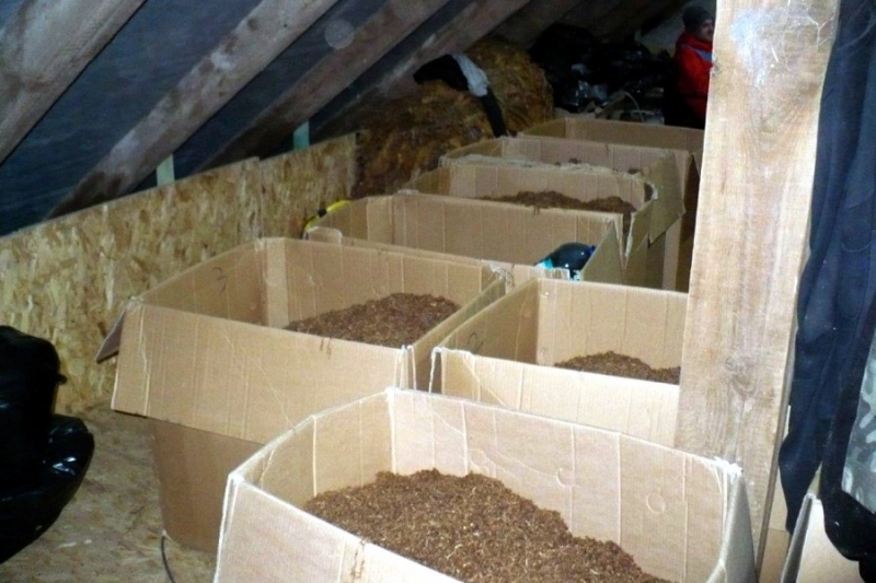 7/11 Zlikwidowano nielegalną krajalnie tytoniu