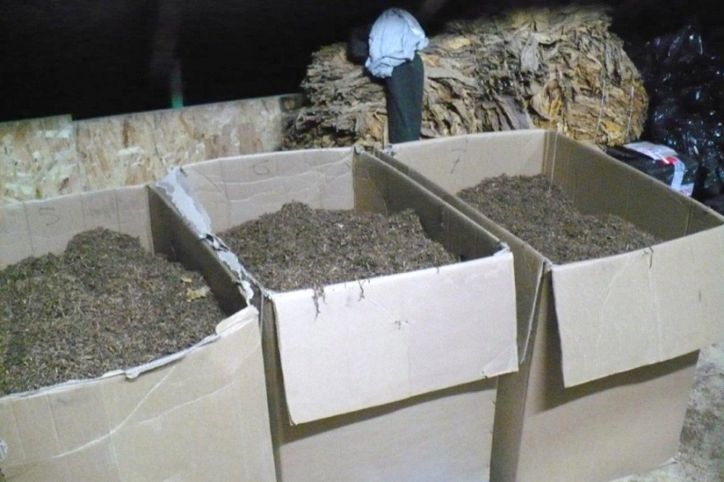 8/11 Zlikwidowano nielegalną krajalnie tytoniu