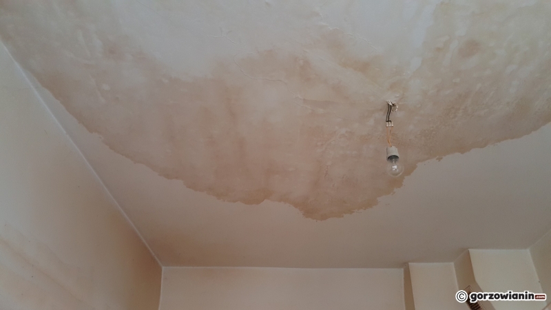 3/8 Skandaliczne warunki w mieszkaniu staruszków