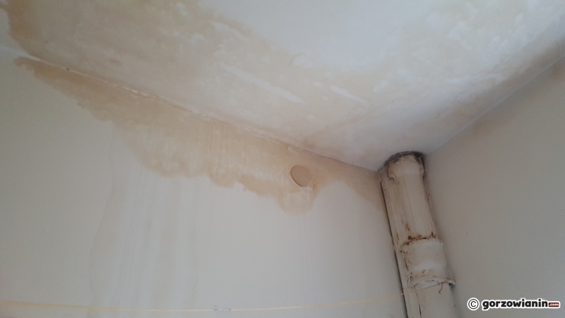 4/8 Skandaliczne warunki w mieszkaniu staruszków