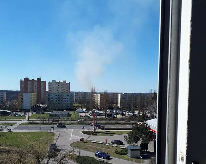 4/4 Paliły się trawy na byłym poligonie