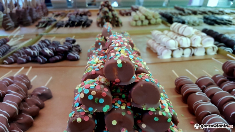 17/19 Food Trucki na Placu Grunwaldzkim