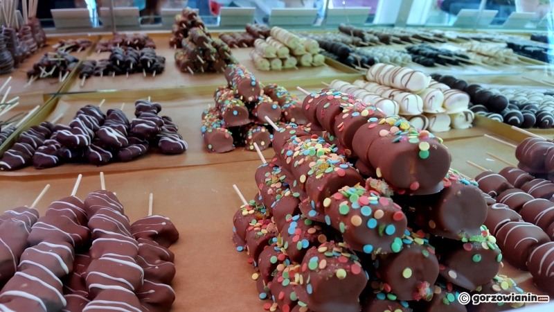 19/19 Food Trucki na Placu Grunwaldzkim