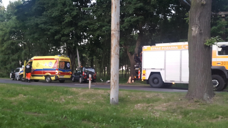 5/5 Suzuki rozbiło się o latarnię