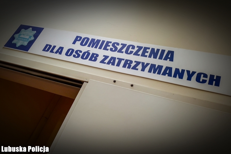 3/6 Chuligani szybko zatrzymani za pobicie i groźby 