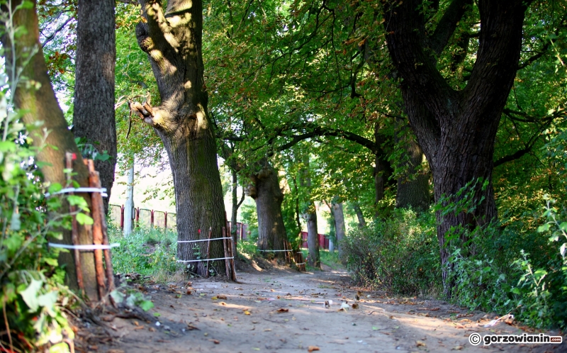 5/11 Budowa ścieżki nad Kłodawką