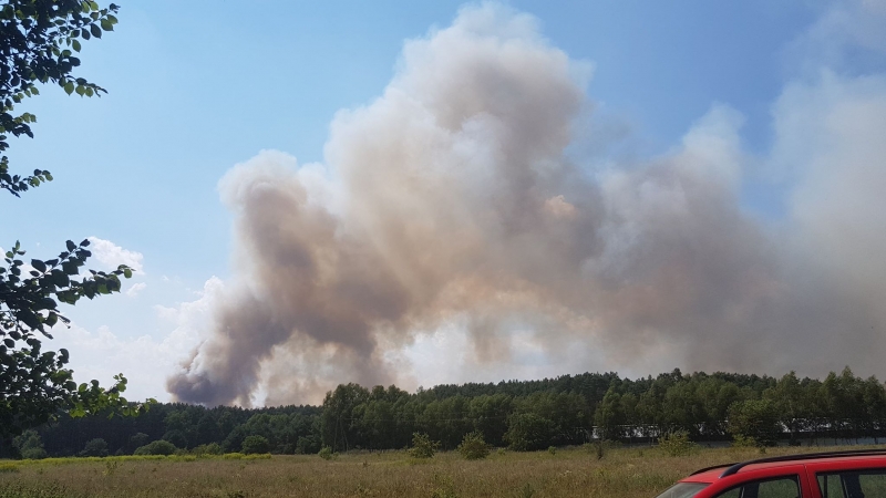 3/5 Pożar lasu