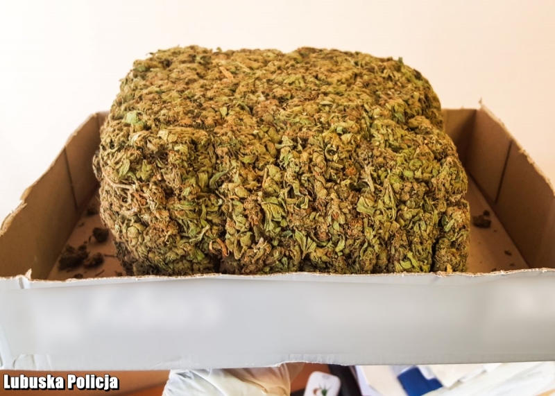 3/8 Narkotyki nie trafią na rynek