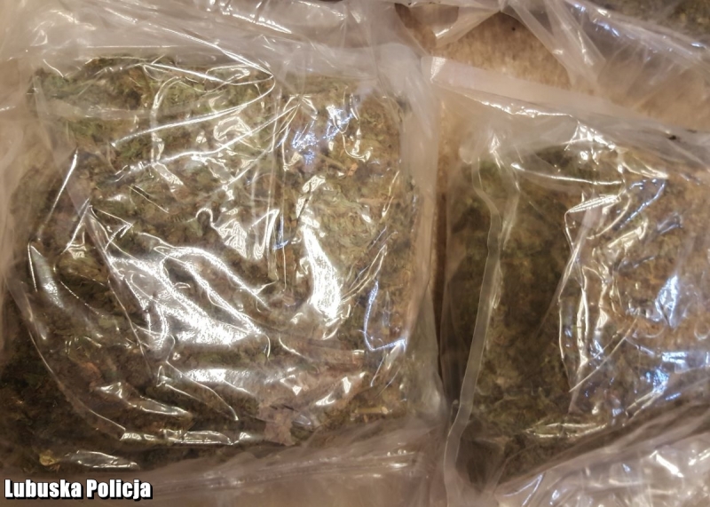 8/8 Narkotyki nie trafią na rynek