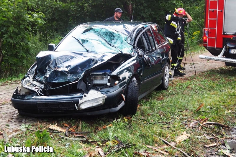 4/4 Drzewo przygniotło samochód