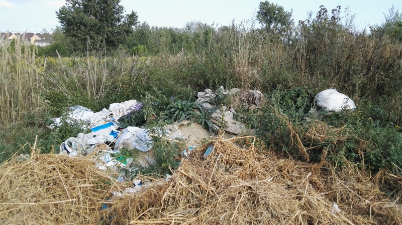 3/3 Śmieci na Gorzowskich Murawach
