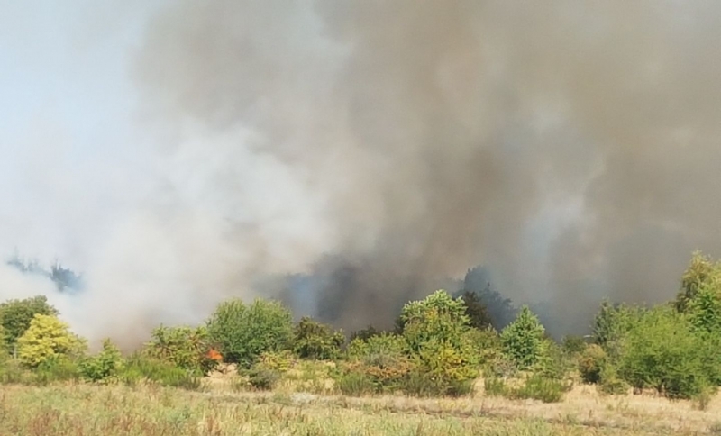 3/8 Pożar na gorzowskim poligonie