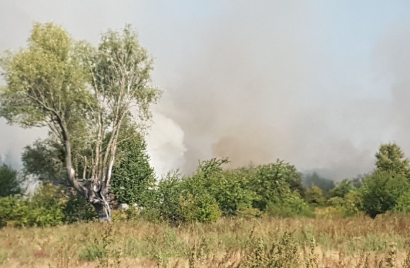 5/8 Pożar na gorzowskim poligonie