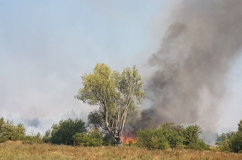 8/8 Pożar na gorzowskim poligonie